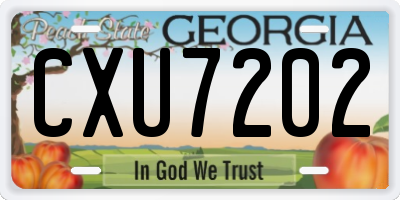 GA license plate CXU7202