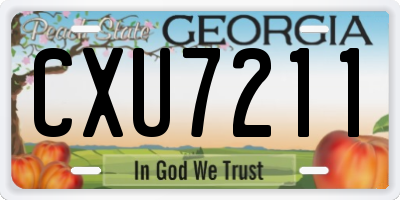 GA license plate CXU7211