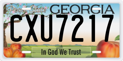GA license plate CXU7217