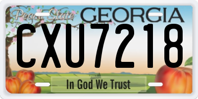 GA license plate CXU7218