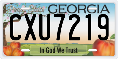 GA license plate CXU7219