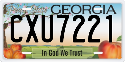 GA license plate CXU7221