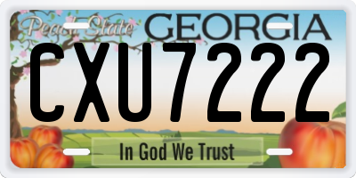 GA license plate CXU7222