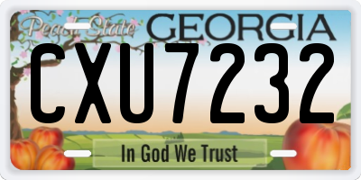 GA license plate CXU7232