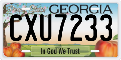 GA license plate CXU7233