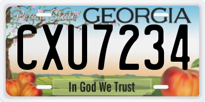 GA license plate CXU7234