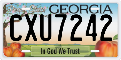 GA license plate CXU7242