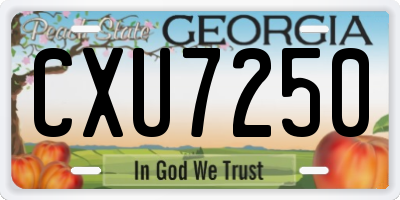 GA license plate CXU7250