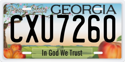 GA license plate CXU7260