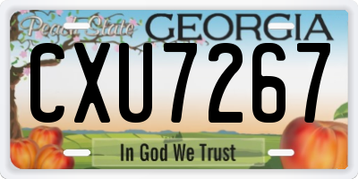 GA license plate CXU7267