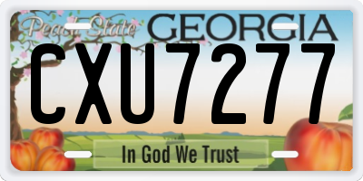 GA license plate CXU7277