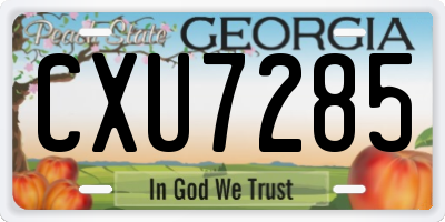 GA license plate CXU7285