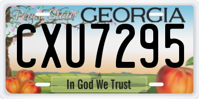 GA license plate CXU7295