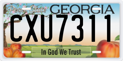 GA license plate CXU7311