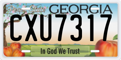 GA license plate CXU7317