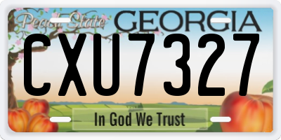 GA license plate CXU7327
