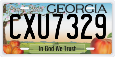 GA license plate CXU7329