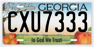 GA license plate CXU7333