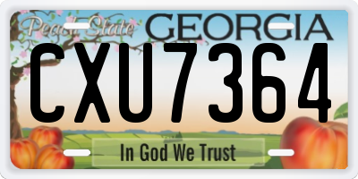 GA license plate CXU7364