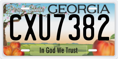 GA license plate CXU7382