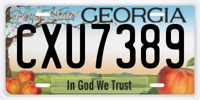 GA license plate CXU7389