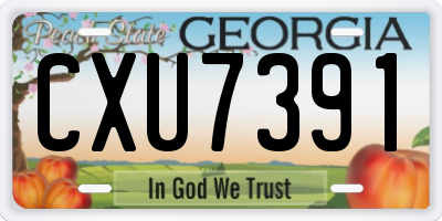 GA license plate CXU7391