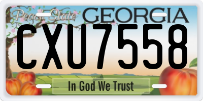 GA license plate CXU7558