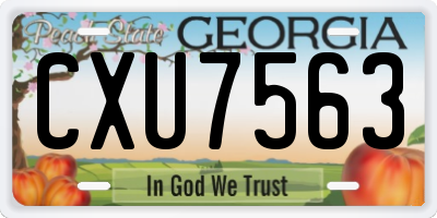 GA license plate CXU7563