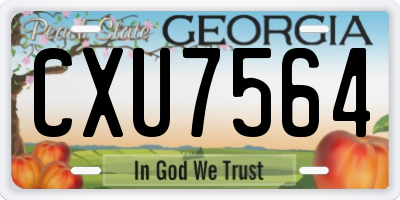 GA license plate CXU7564