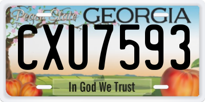 GA license plate CXU7593