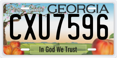 GA license plate CXU7596