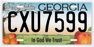 GA license plate CXU7599