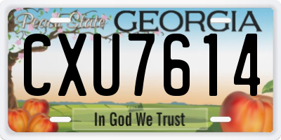 GA license plate CXU7614