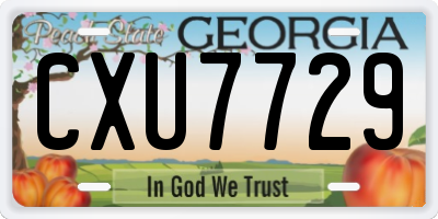 GA license plate CXU7729