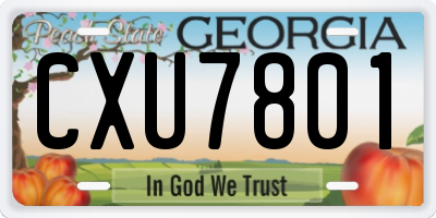 GA license plate CXU7801