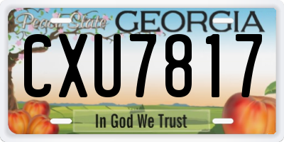 GA license plate CXU7817