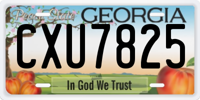 GA license plate CXU7825