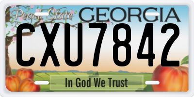 GA license plate CXU7842
