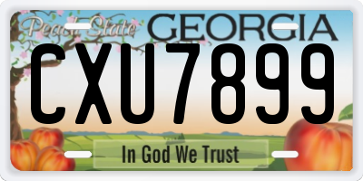 GA license plate CXU7899