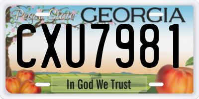 GA license plate CXU7981