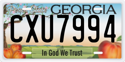 GA license plate CXU7994