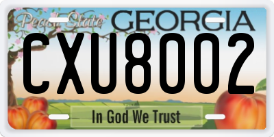 GA license plate CXU8002