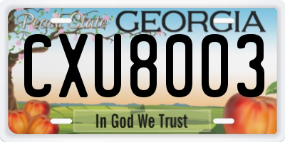 GA license plate CXU8003