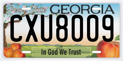 GA license plate CXU8009
