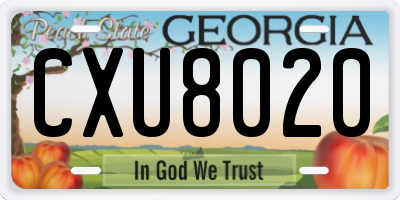GA license plate CXU8020