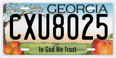 GA license plate CXU8025
