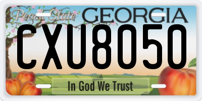 GA license plate CXU8050