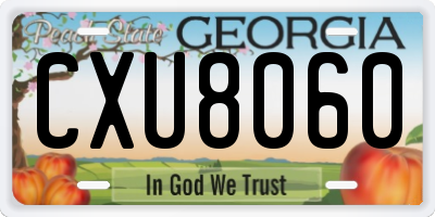 GA license plate CXU8060