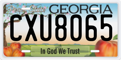GA license plate CXU8065