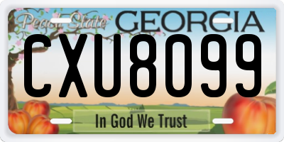 GA license plate CXU8099
